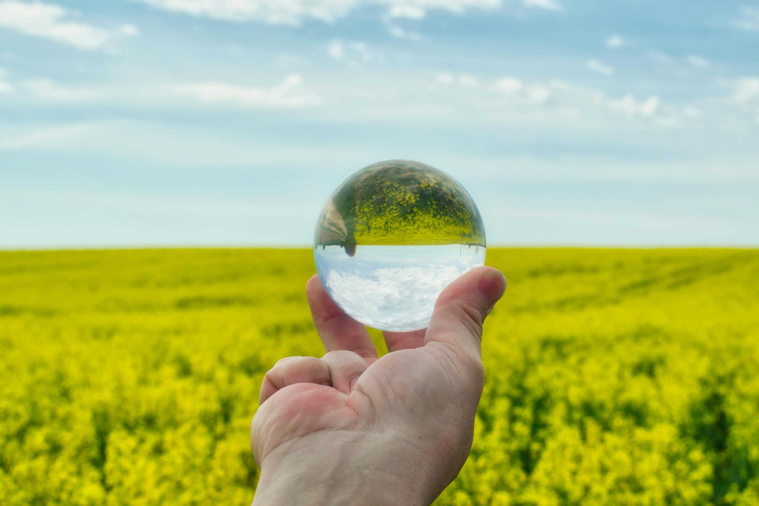 A clear crystal ball reflecting a vibrant canola field in Szebény, Hungary.